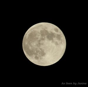2s-Full Moon.jpg